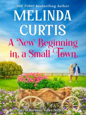 cover image of A New Beginning in a Small Town